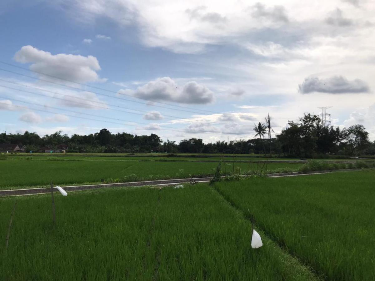 Legiyem Homestay Yogyakarta Ngoại thất bức ảnh